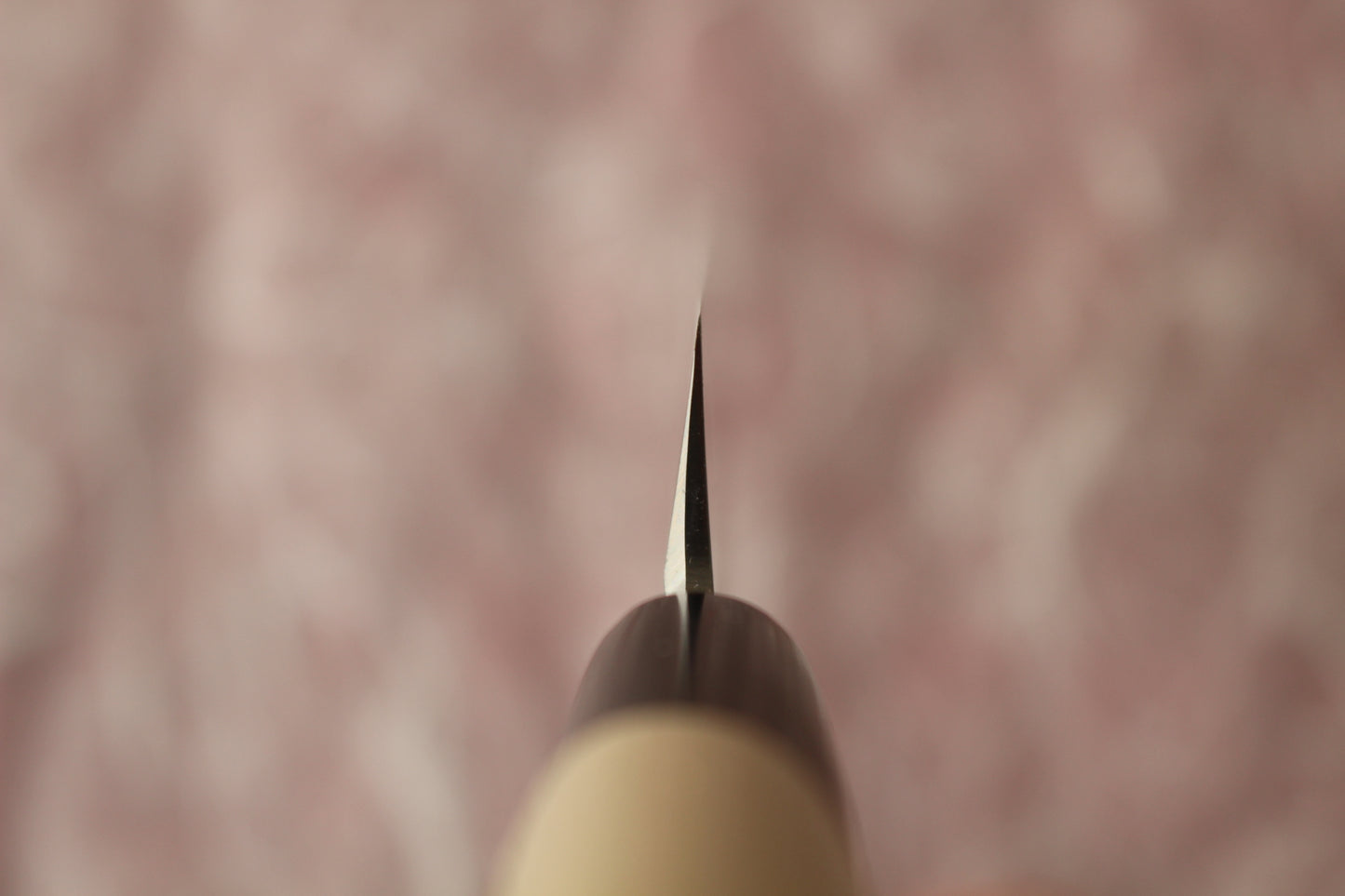 Mikazuki - Shirogami / White Steel #2 Yanagiba Sashimi Knife 240mm W/Saya (for Right Hander)