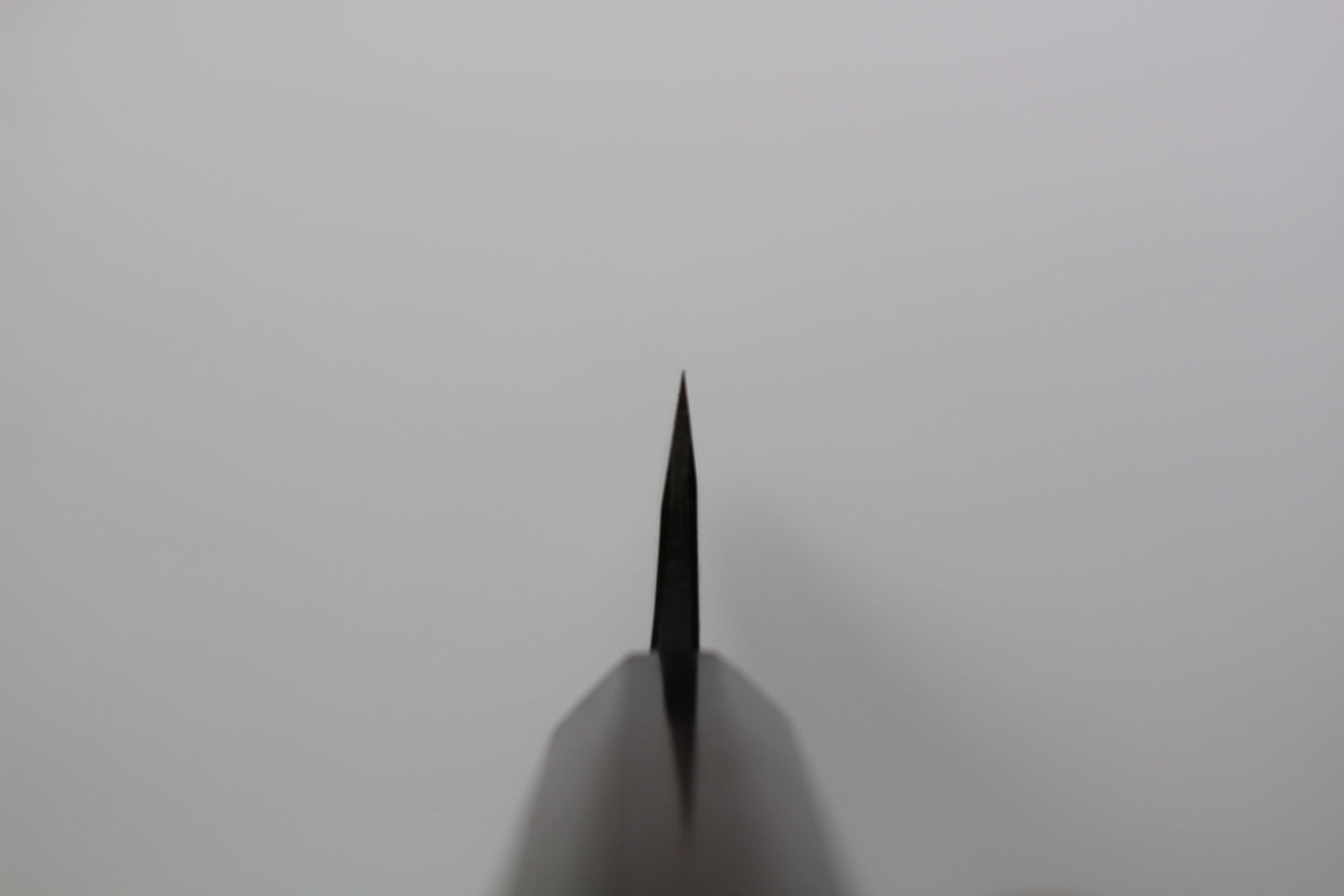 Nao Yamamoto - Aogami No.2 Kurouchi Honesuki knife 170mm