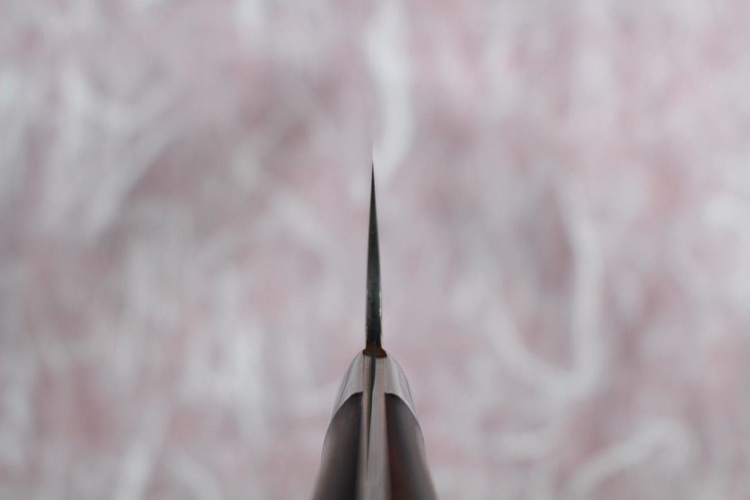 Takeshi Saji - Aogami No2 rainbow colored damascus Bunka Knife 180mm with ironwood handle